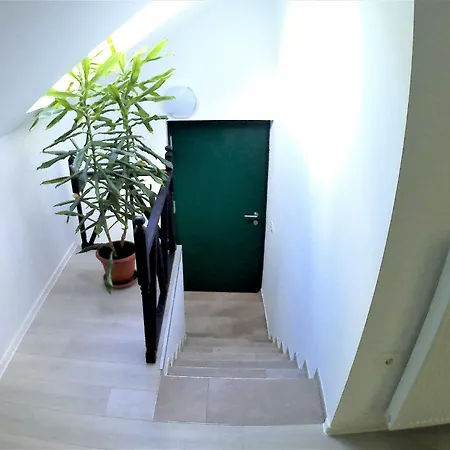 Apartma 20 Daire *
